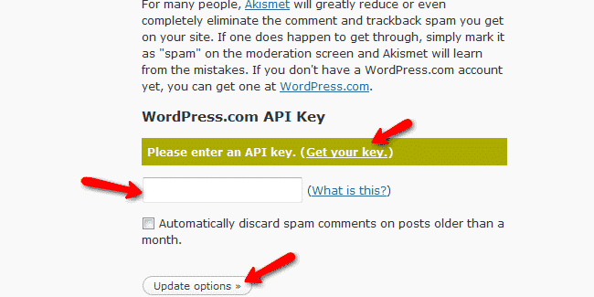 API Key