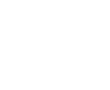 We deliver real Added Value to our Clients